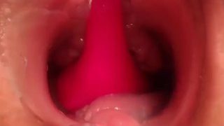 Pregnant Pussy – The Inside Look